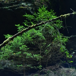 2018-10 Prague/Sächsische Schweiz/DSC_5857.JPG